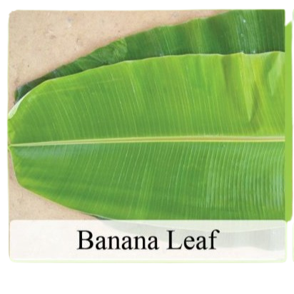 Banana Leaf